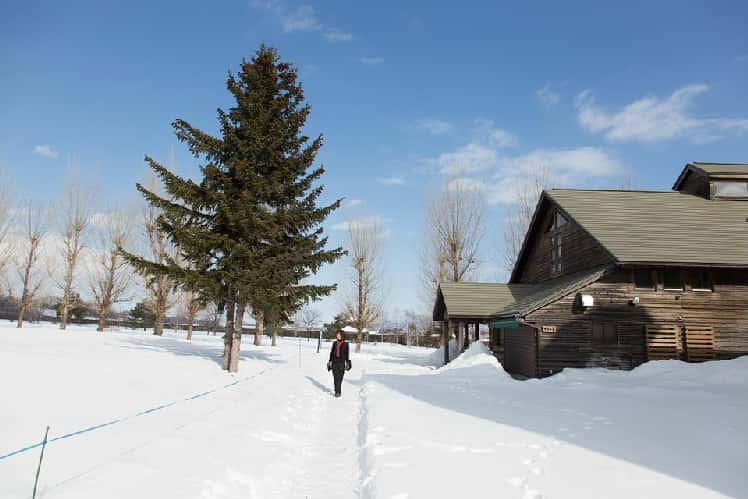 因为疫情没去成北海道的钱，旅行社全额退了么？