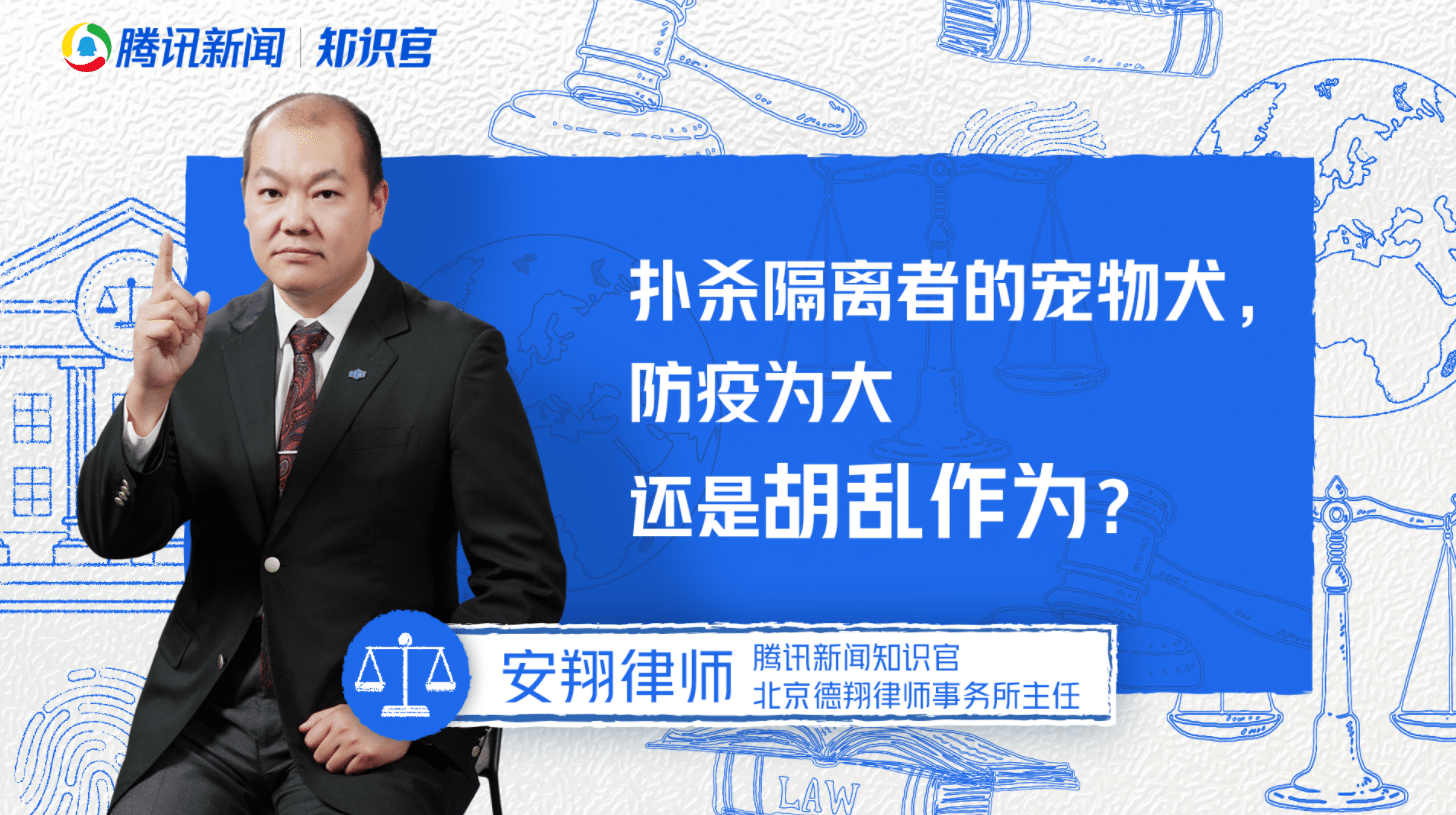 腾讯特约视频 丨扑杀隔离者的宠物犬，防疫为大还是胡乱作为？