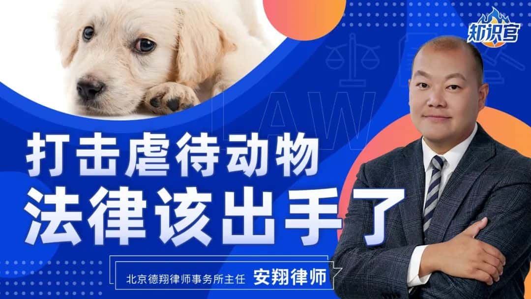 腾讯特约视频 丨打击虐待动物，法律该出手了